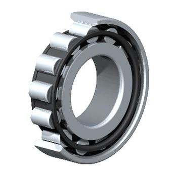BEARING CYLINDRICAL ROLLER N217 image 0